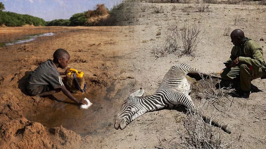 Children trying to get water/corpse of a gravy due to the drought in Africa