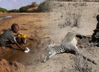 Kenya is hit by its worst drought in 4 decades