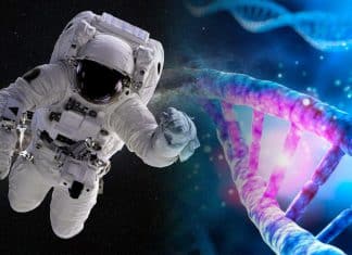 Descubren mutación en sangre de astronautas tras viajar al espacio