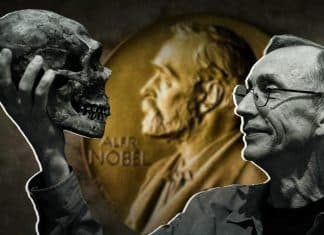 Nobel Prize in Medicine for discovery of DNA in extinct human species