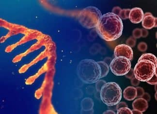 Genetics “dark matter” could be used to treat cancer