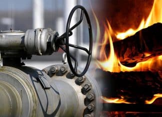 Europa retorna a era del fuego con leña, tras crisis energética