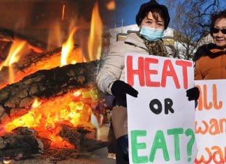 Europe returns to wood-burning fires after energy crisis