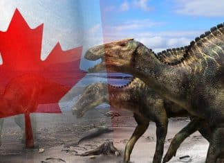 Descubren fósil de dinosaurio con piel en Canadá