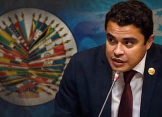 Honduras acusa a OEA de avalar elecciones irregulares en su país