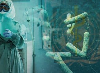 OMS advirtió que el cólera está de vuelta en su forma más letal