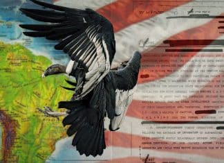 Publican nuevas pruebas del perverso Plan Cóndor desarrollado por Estados Unidos