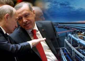 Putin y Erdogan acuerdan crear en Turquía un Centro de Gas Natural para Europa