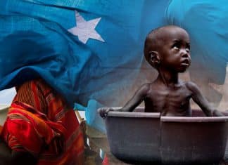 En Somalia, cada minuto ingresa un niño a un centro hospitalario por desnutrición aguda