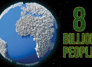 Global Human Population reaches eight billion by November 15