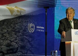 Sharm El-Sheikh climate change conference on November 2022