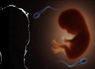 Sperm counts dropped by 50% and is a problem for humanity