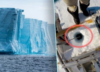 Scientists found life under 3,000 feet of ice in Antarctica