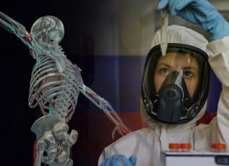 Científicos de Rusia diseñan bioimplantes para pacientes con osteoporosis