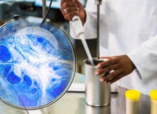 The clitoris has 10,000 nerve endings