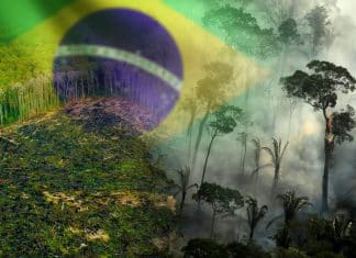 Deforestación en Amazonía brasileña rompe récords históricos