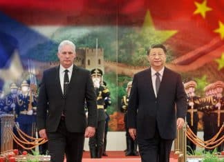 Díaz-Canel y Xi Jinping fortalecen lazos de cooperación entre Cuba y China