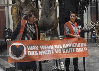 German climate activists glue themselves to dinosaur display