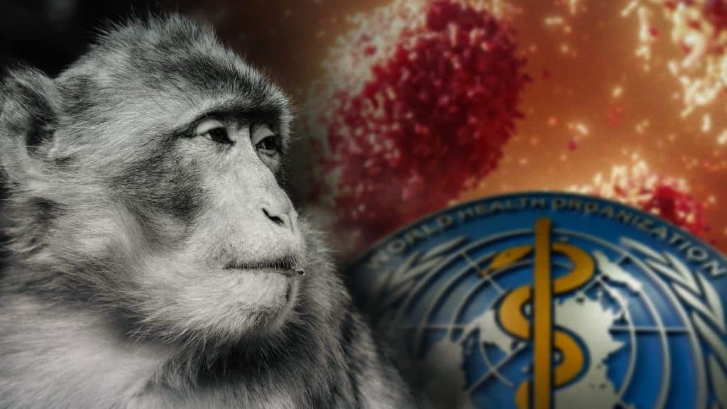De acuerdo a la OMS, el término “viruela del mono” será válido durante un año más, mientras se elimina gradualmente de la documentación clínica.