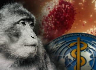 ¿Por qué la OMS modifica el término viruela del mono?