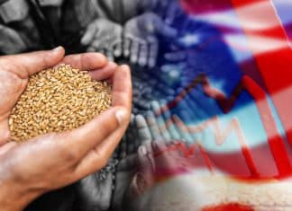 Putin: Occidente ha provocado desequilibrio en la alimentación mundial