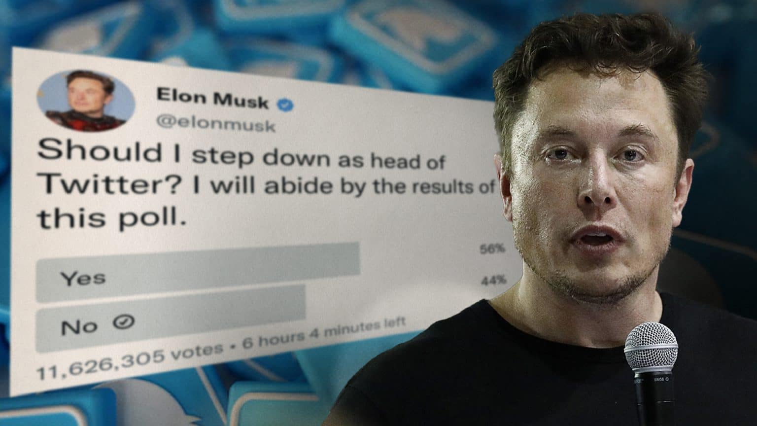 Elon Musk’s Resignation As Head Of Twitter After Bad Results On Poll