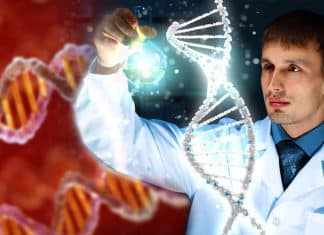 Scientists discover DNA dating back two million years ago