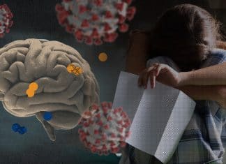 Teenagers’ brains aged faster because of Covid-19