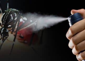 Científicos de Japón descubren supermosquitos resistentes a insecticidas