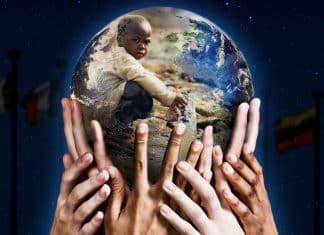 World leaders have 2 weeks to agree on a plan to save nature