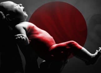Japan wants to increase the birth rate Japan wants to increase the birth rate