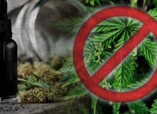 Hong Kong bans CBD saying it is from cannabis Hong Kong bans CBD saying it is from cannabis