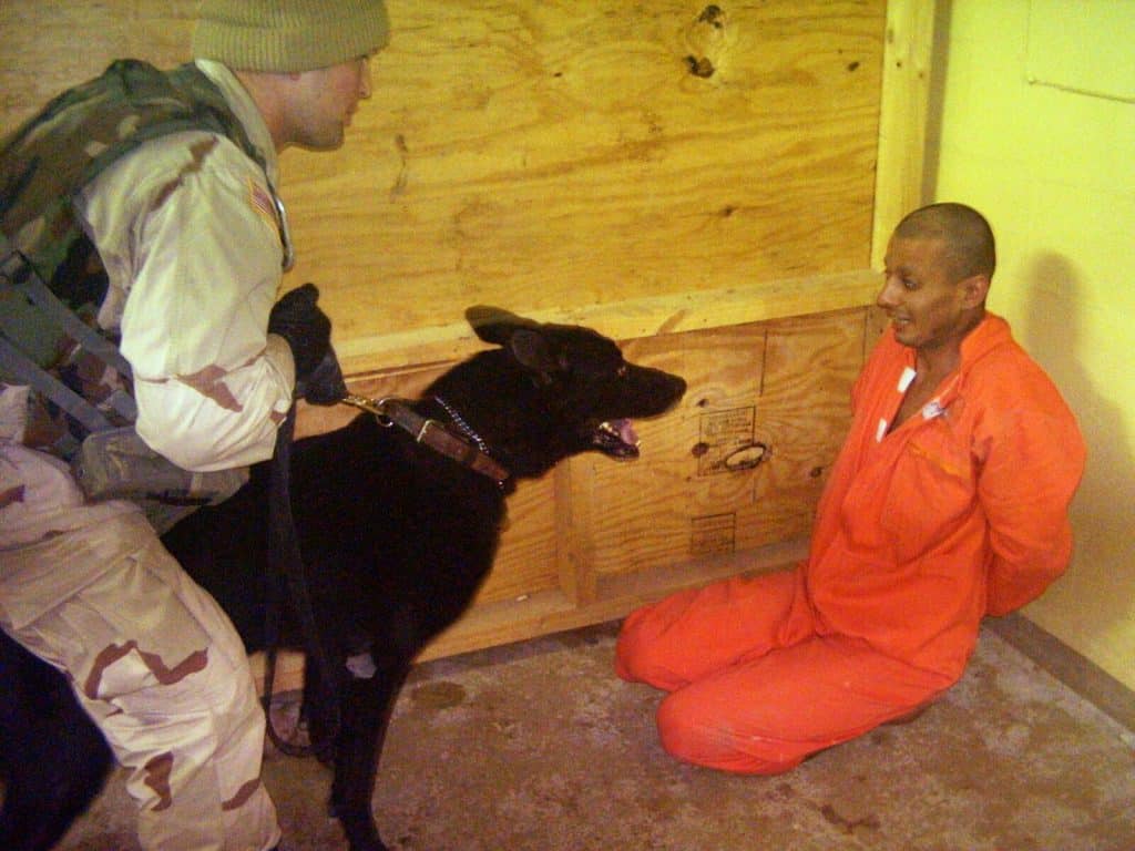 An American soldier, his dog