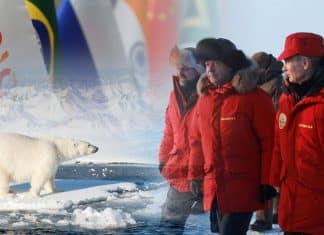 BRICS destacan acercamiento de Moscú con países del Ártico