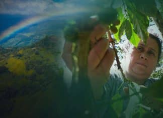 Las Diosas de las Segovias en Nicaragua