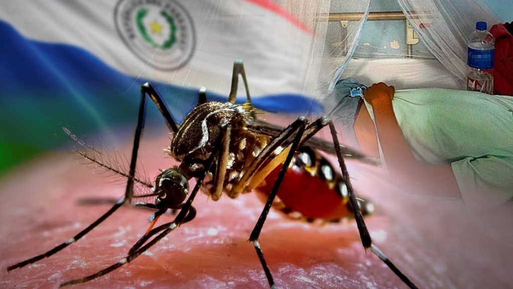 A finales de 2022 Paraguay experimentó un incremento de casos de chikungunya que se ha transformado en epidemia.