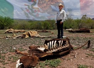 México se enfrenta a una de las peores sequías de su historia