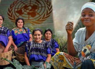 ONU no lograría la igualdad de género ni en 300 años