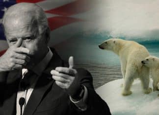 Proyecto Willow: Biden aprueba el temible plan petrolero que arrasaría con el Ártico