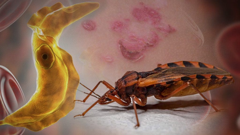 What is the Chagas Disease and why to raise awareness about it?