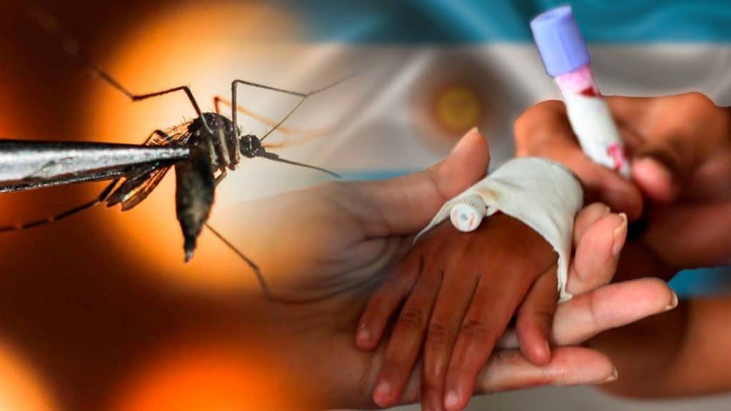 En argentina circulan nuevos genotipos que provocan dengue, lo que ha incrementado el riesgo sanitario