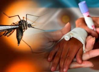 Nuevos genotipos del dengue descubiertos en Argentina aumentan riesgo sanitario