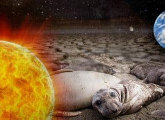 Olas de calor sin precedentes en el mundo, ponen en riesgo los océanos
