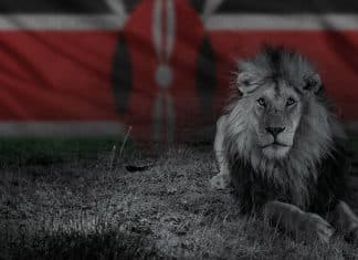 Wildlife under attack in Africa Wildlife under attack in Africa