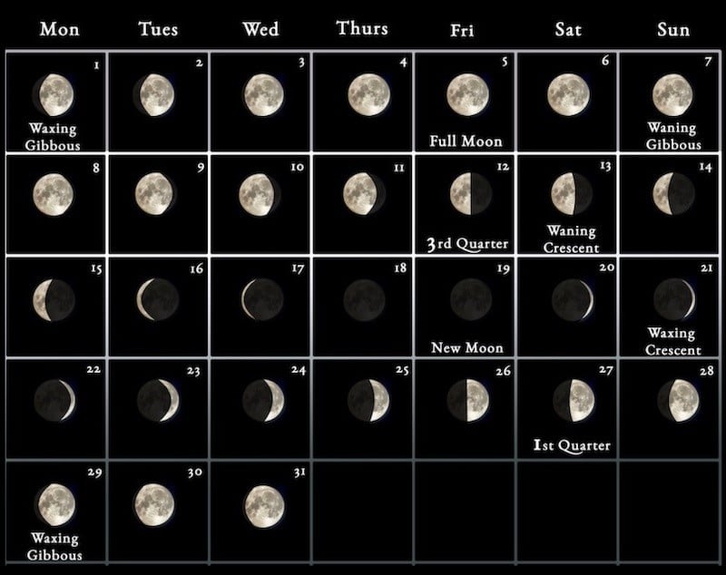 May moon stages