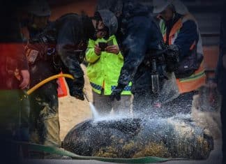 Evacuan a ciudadanos de Berlín, para desactivar bomba de la Segunda Guerra Mundial
