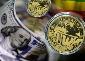 África: Zimbabue se une a la desdolarización a través de nueva moneda digital
