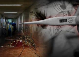 El virus mayaro de Brasil amenaza con extenderse a Paraguay