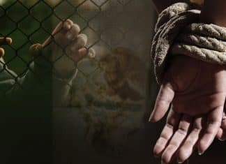 Secuestran a 50 migrantes en Nuevo León, México