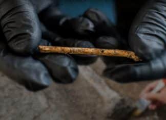 Descubren flautas milenarias elaboradas con huesos de aves